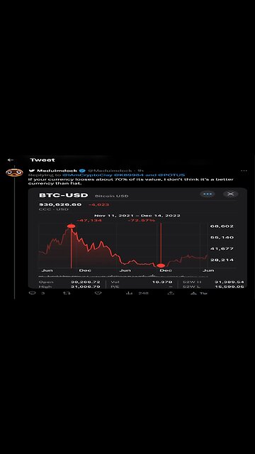 Exposed: Bitcoin's Flaws as a Currency Revealed