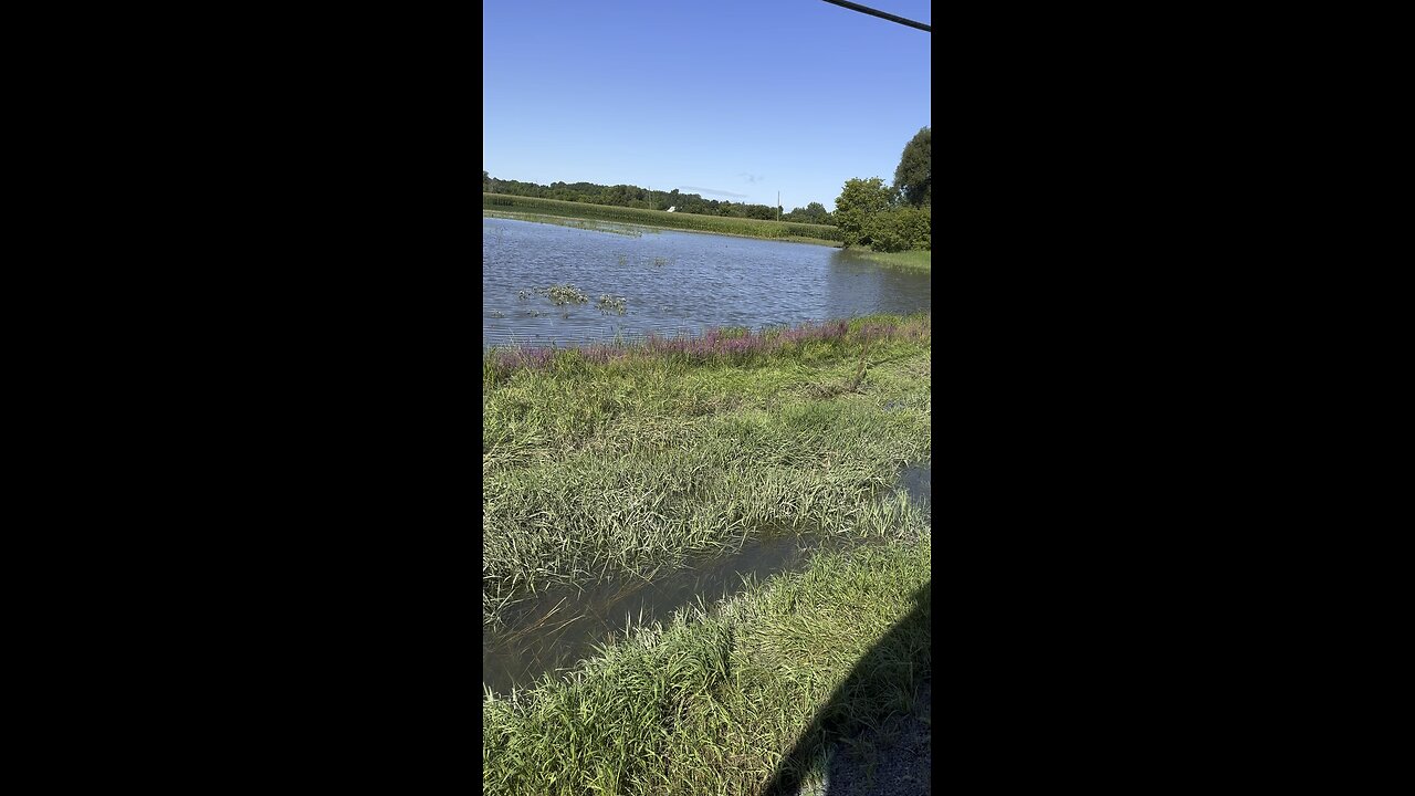 Flooded fields