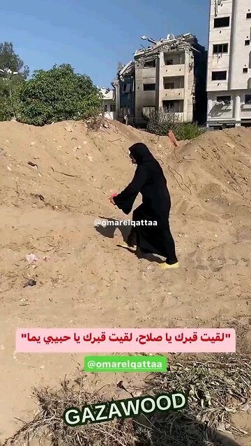 This poor Palestinian mother lost her Plywood?