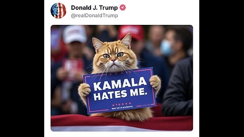 Trump AI cat Kamala hates me pic goes viral