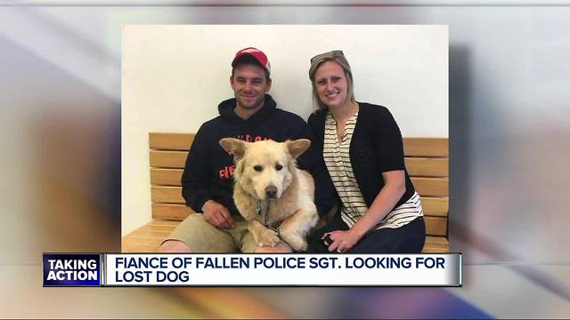 Fallen Sgt. Collin Rose's dog escapes, believed to be in Rochester Hills area