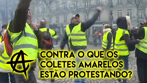 Contra o que os coletes amarelos estão protestando?