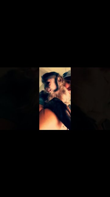 Barn chores to monkey loving! Sweetest lil monk I eber did see 😉