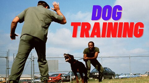 The Best Guard Dog Training Step by Step