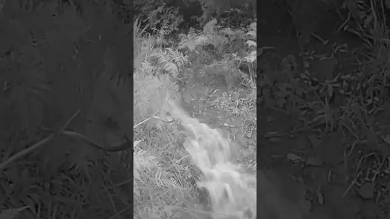 Spring pours out during flood