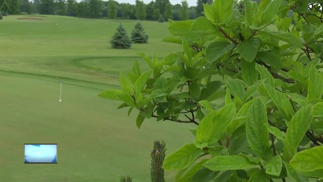 Local golfer sinks 4th career hole in one