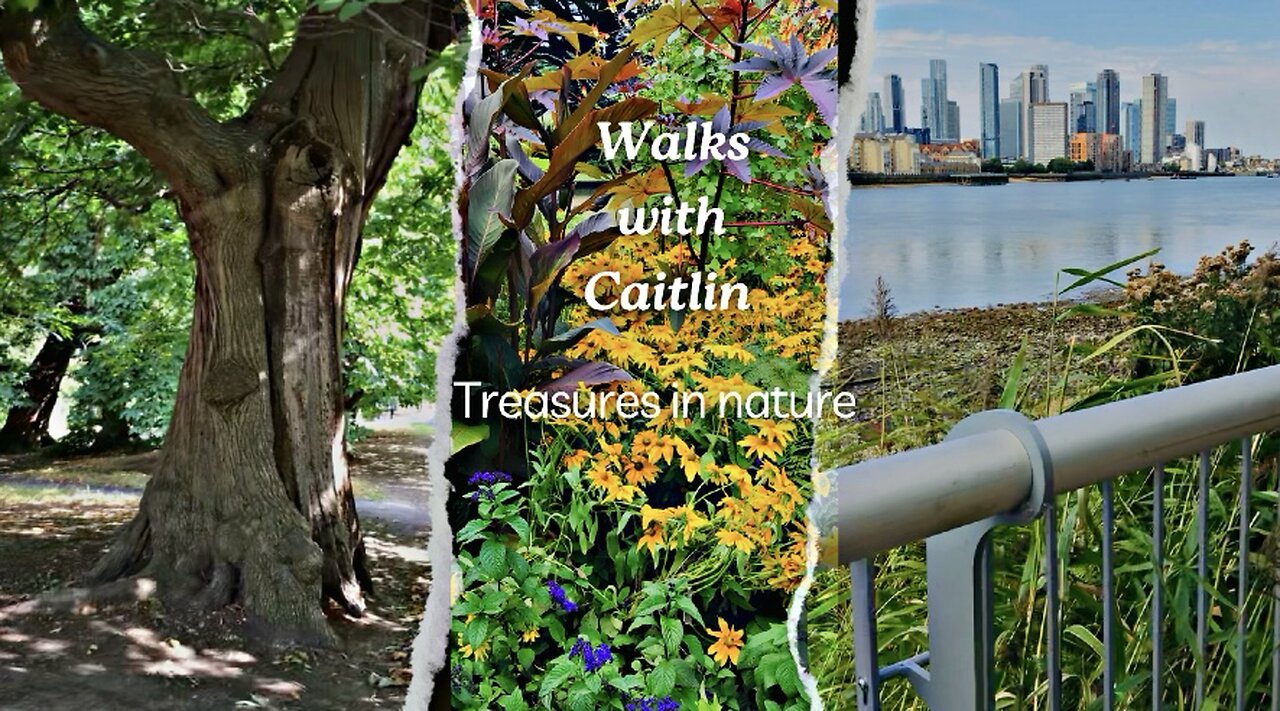 City walks | Friendly Squirrel | Haunting Black House | River | skylines | natural sounds| Relaxing