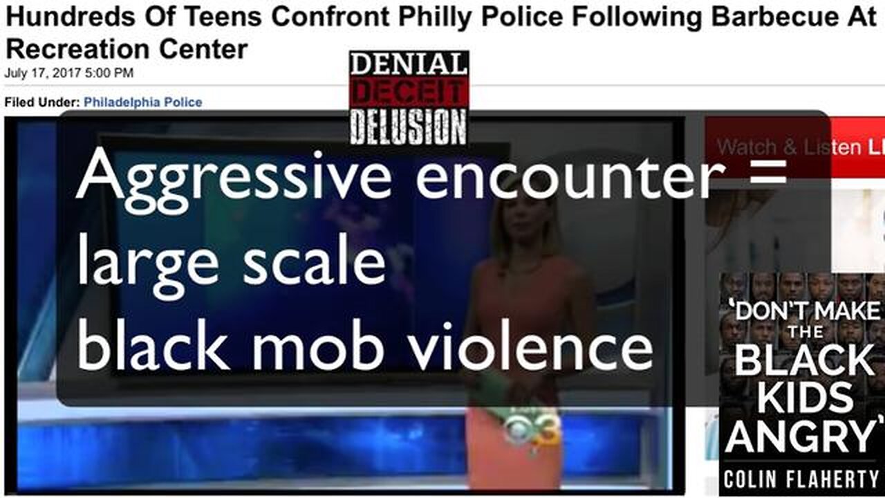 Colin Flaherty: Media Is In Denial Deceit Delusion About Black Mob Violence Deconstructed