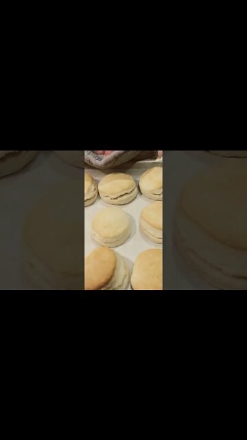 Quick and easy biscuits 2 ingredients #hedgehogshomestead