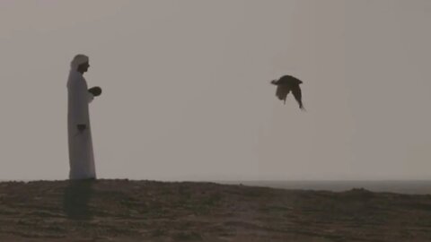 Sheikh Hamdan and The Falcon