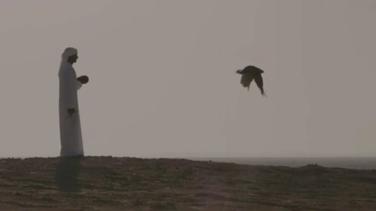 Sheikh Hamdan and The Falcon