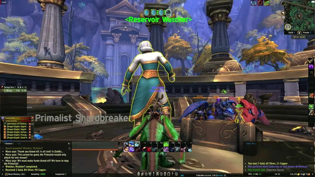 World of Warcraft Dragonflight Wotcher, Watcher?