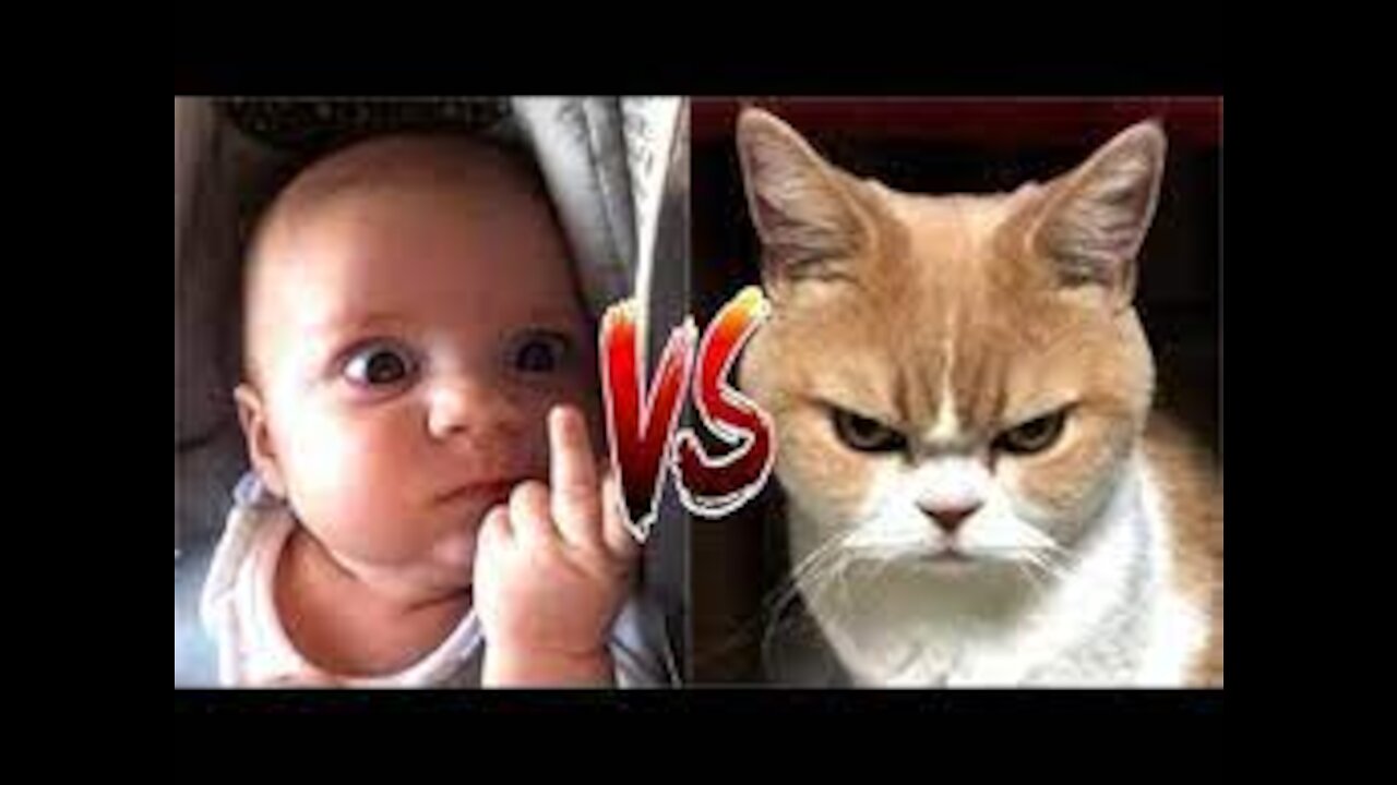 Cat Gets Annoyed by Baby