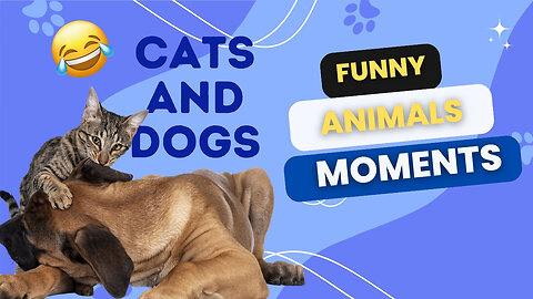 FUNNY CATS and DOGS & other ANIMALS TALKING PETS | New Funniest Animals Videos 2024