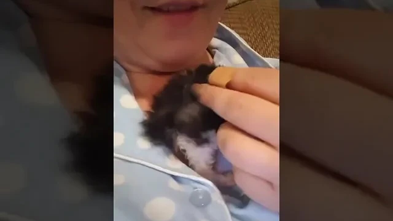 Tiniest 3 week old kitten you have ever seen