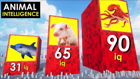 Comparison Animal Intelligence 3D