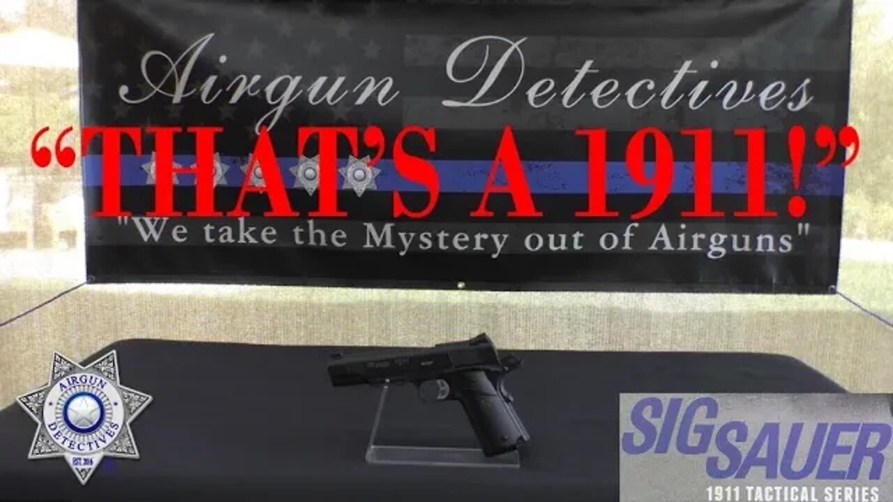 "RARE" Sig Sauer 1911, Full Review by Airgun Detectives