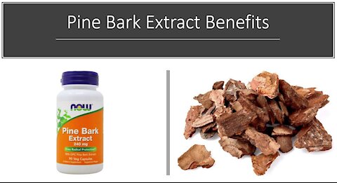 Pine Bark Extract