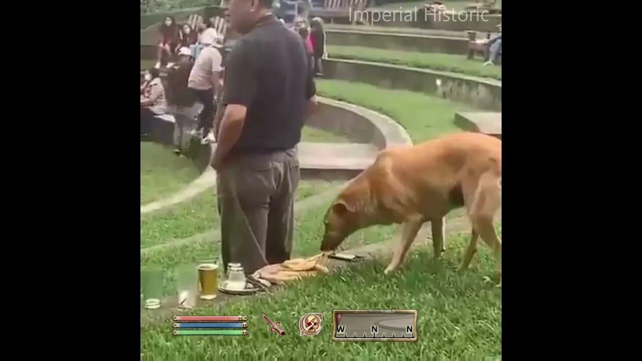 Rogue Doggo Sneak Lvl Max- Oblivion NPC