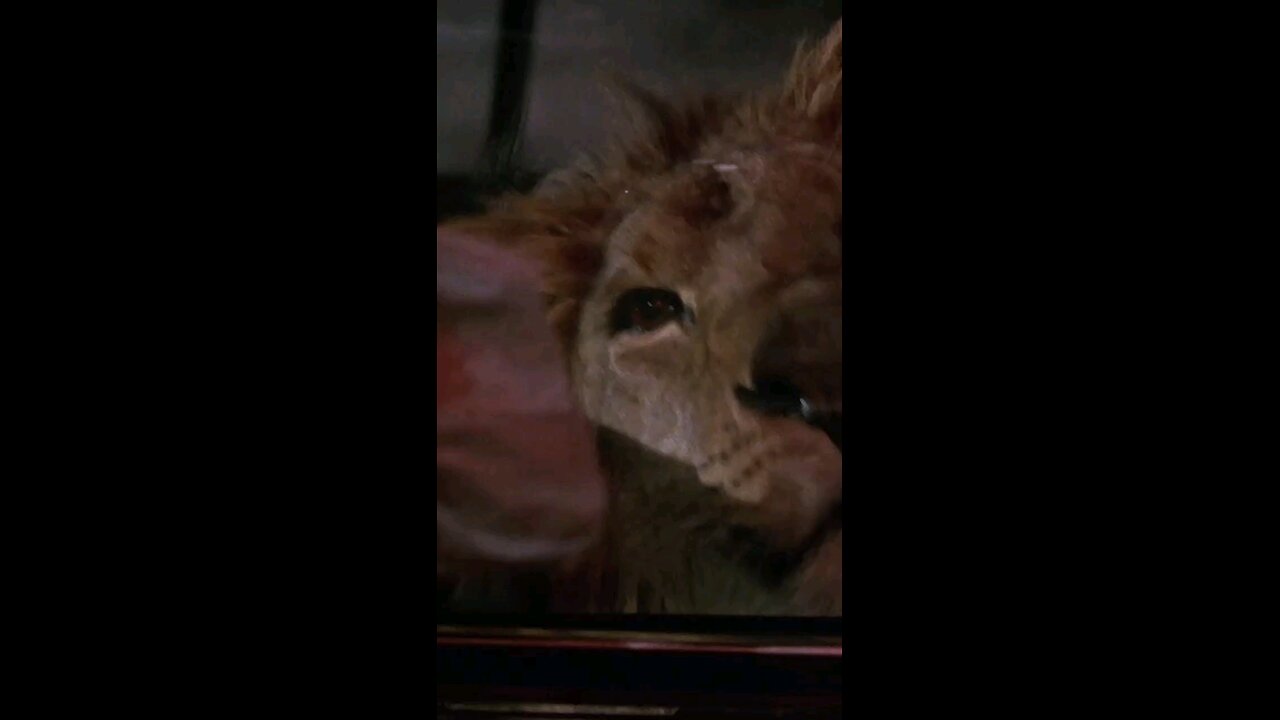 Feeding the lion | Donnie Brasco