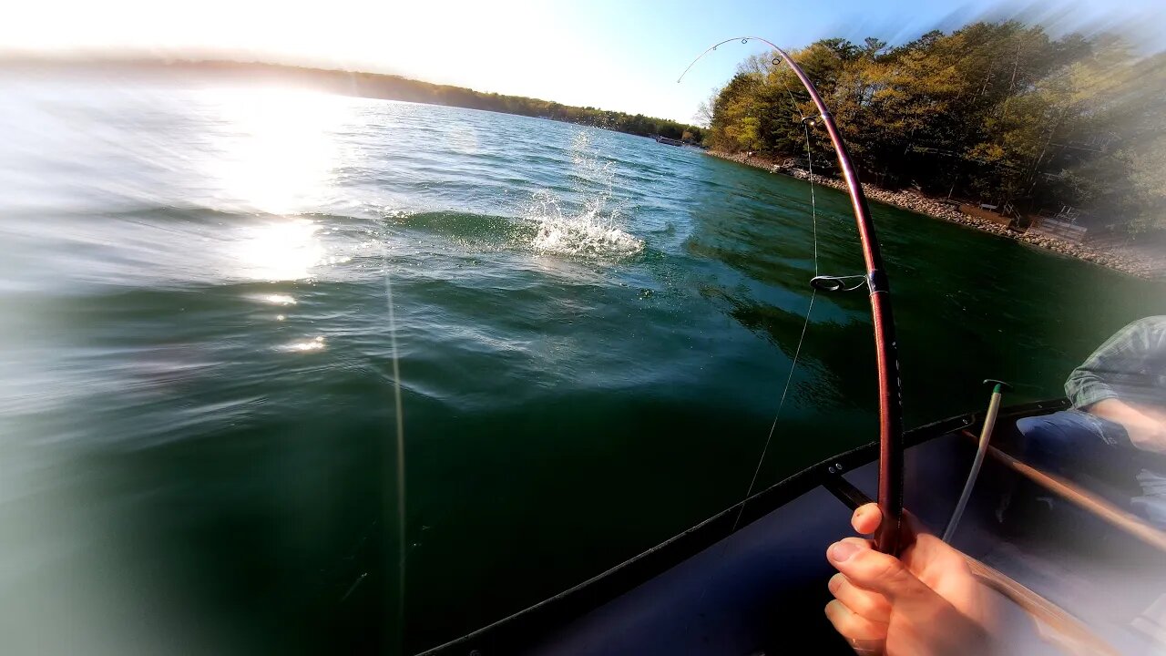 Massive Smallmouth Bass!!!