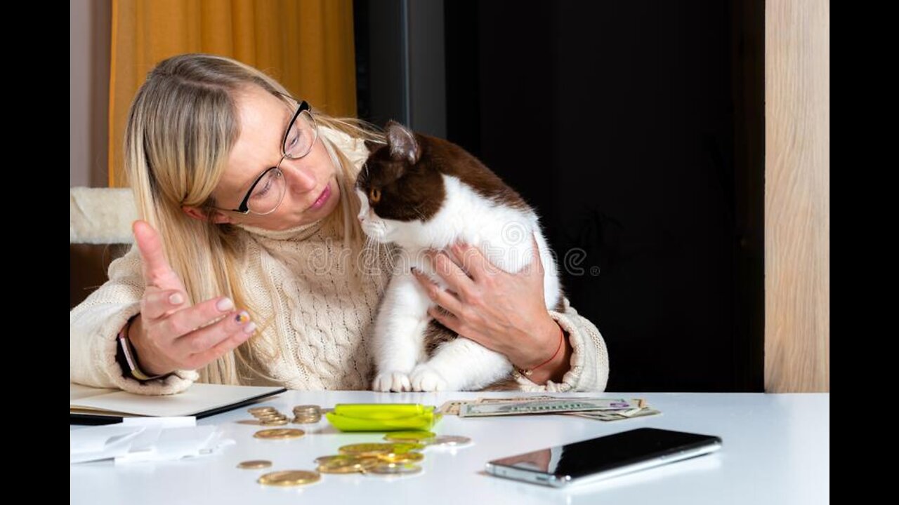 Cats talking !! these cats can speak english better than human