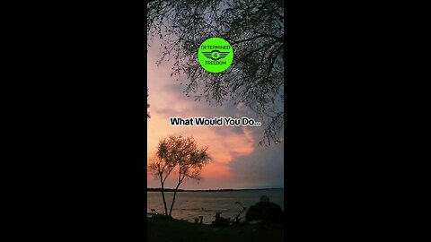 What Would You Do...