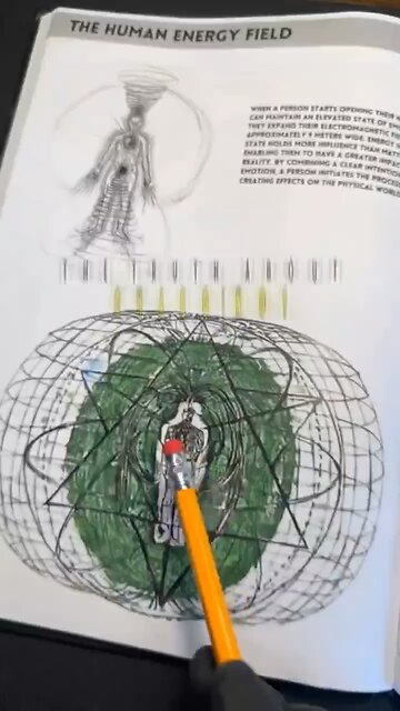 The Torus. Your Biological Battery & What Your Body Needs Now!