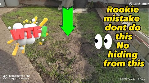 Huge rookie mistake 12.09.23 #lawncare #barenbrug #rpr #lawnuk