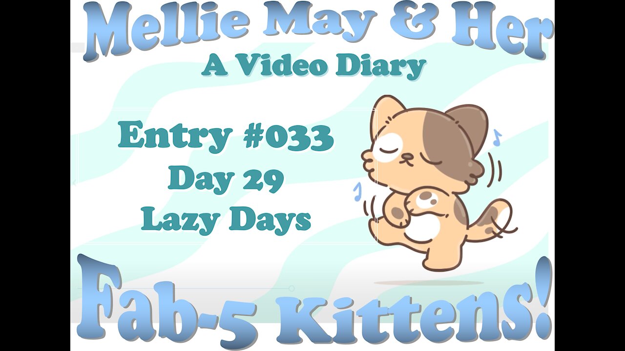 Video Diary Entry 033: Hard Day Playing. We All Have Lazy Days - Day 29