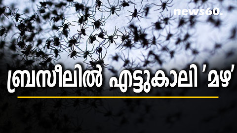 ബ്രസീലിൽ എ​ട്ടു​കാ​ലി 'മ​ഴ'