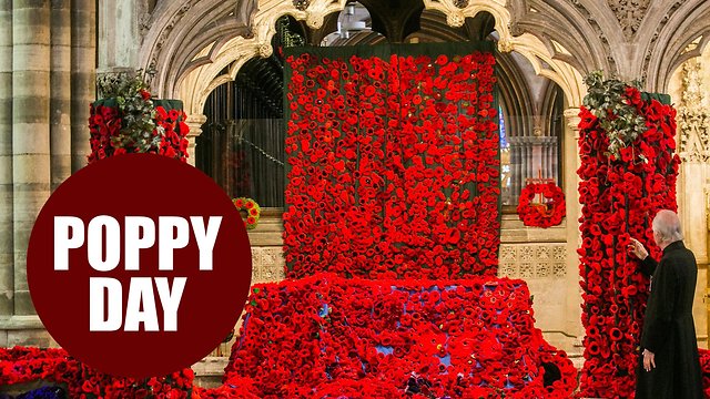 Exeter Cathedral covered in 34,000 poppies in Remembrance Day tribute