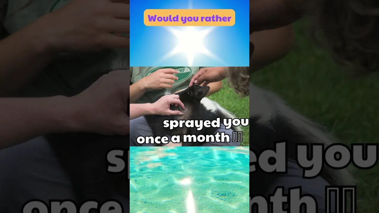 Would you rather