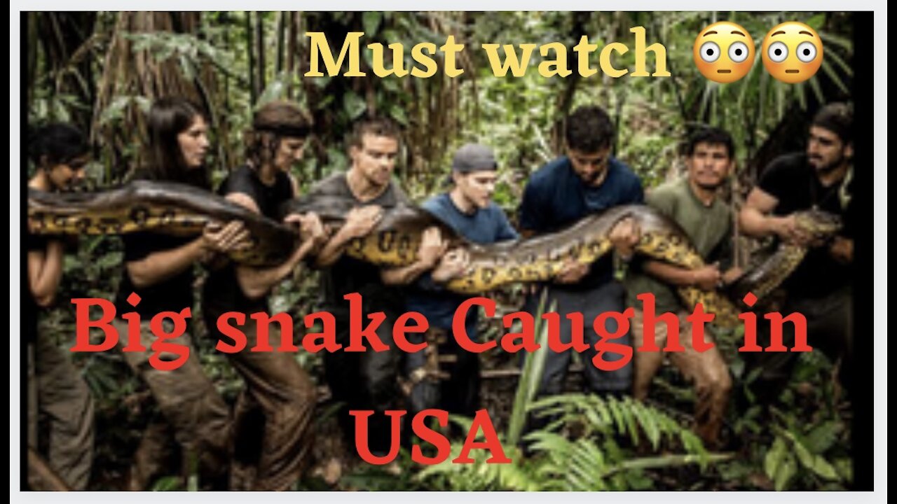 Dangerous Snake caught on camera. Snake catching by famous Herpetologist