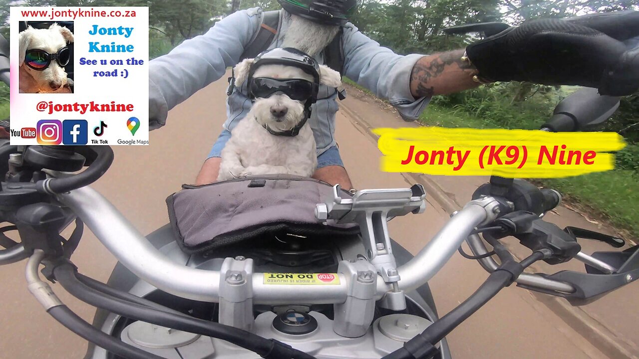 Jonty (K9) Nine - see you on the road