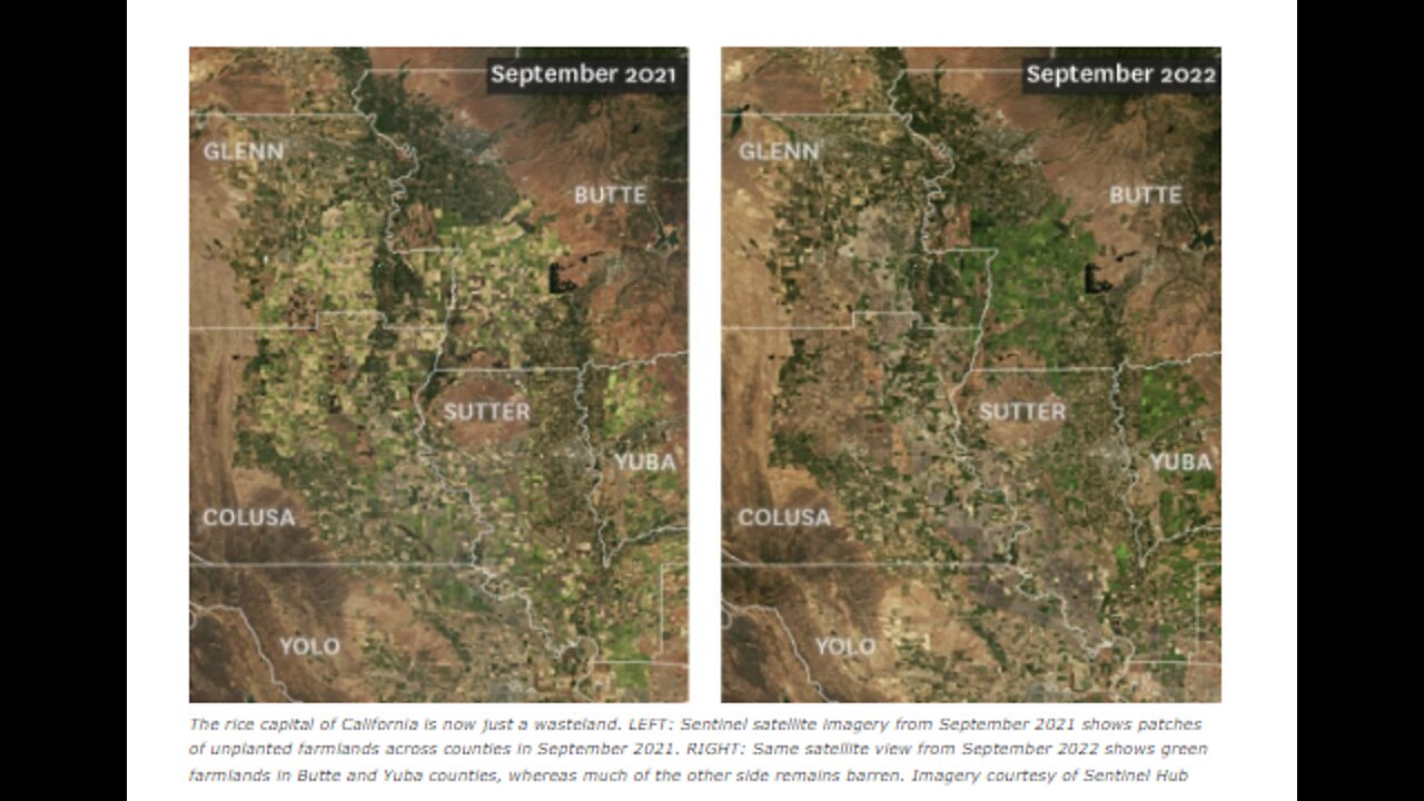 CALIFORNIA RICE FIELDS ARE A WASTELAND - WE NEED THE RICE-MIGRATING BIRDS NEEDS THE WET FIELDS