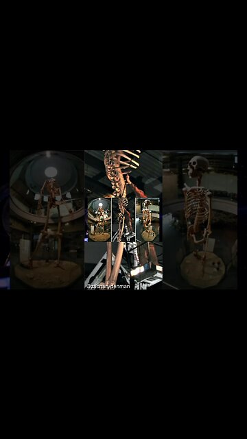 In 1964 remains of large bones from Giants were found in the Edcudorian jungle #giants #giant