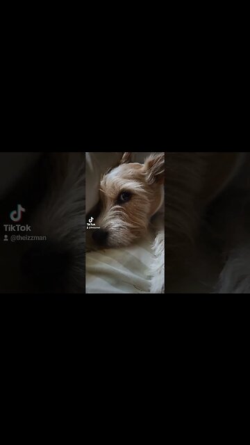 Walter wants you to know that there's 3 days left to enter our Steam key giveaway! #steamkey