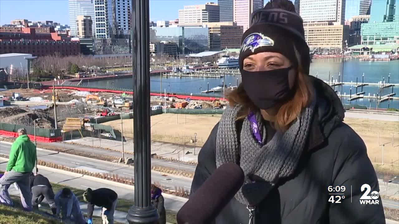 Ravens staff visit Federal Hill to paint logo on the grass