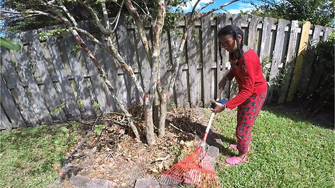 Blasian Babies Fix Up The Backyard And Fence Of The Spring Break 2024 House After Hurricane Milton!