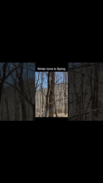 Winter turn to Spring