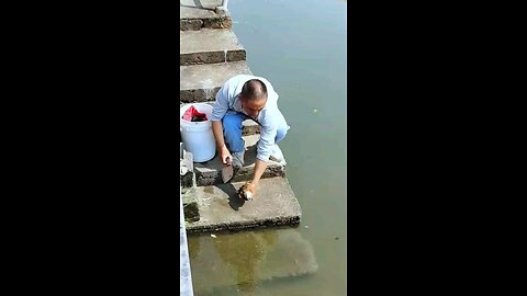 fish play with man