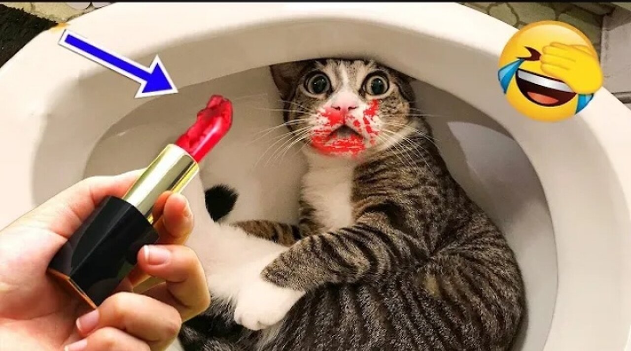 New Funny Animals 2023 😂 Funniest Cats and Dogs Videos #102