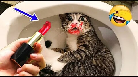 New Funny Animals 2023 😂 Funniest Cats and Dogs Videos #102