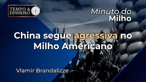 China segue agressiva no Milho Americano.