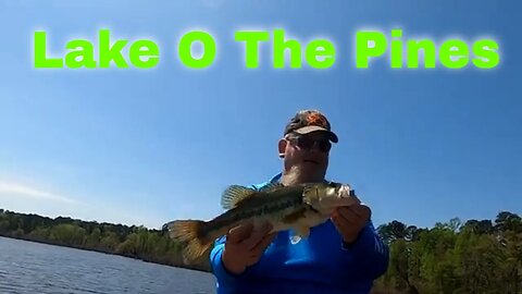 Fishing Lake O The Pines