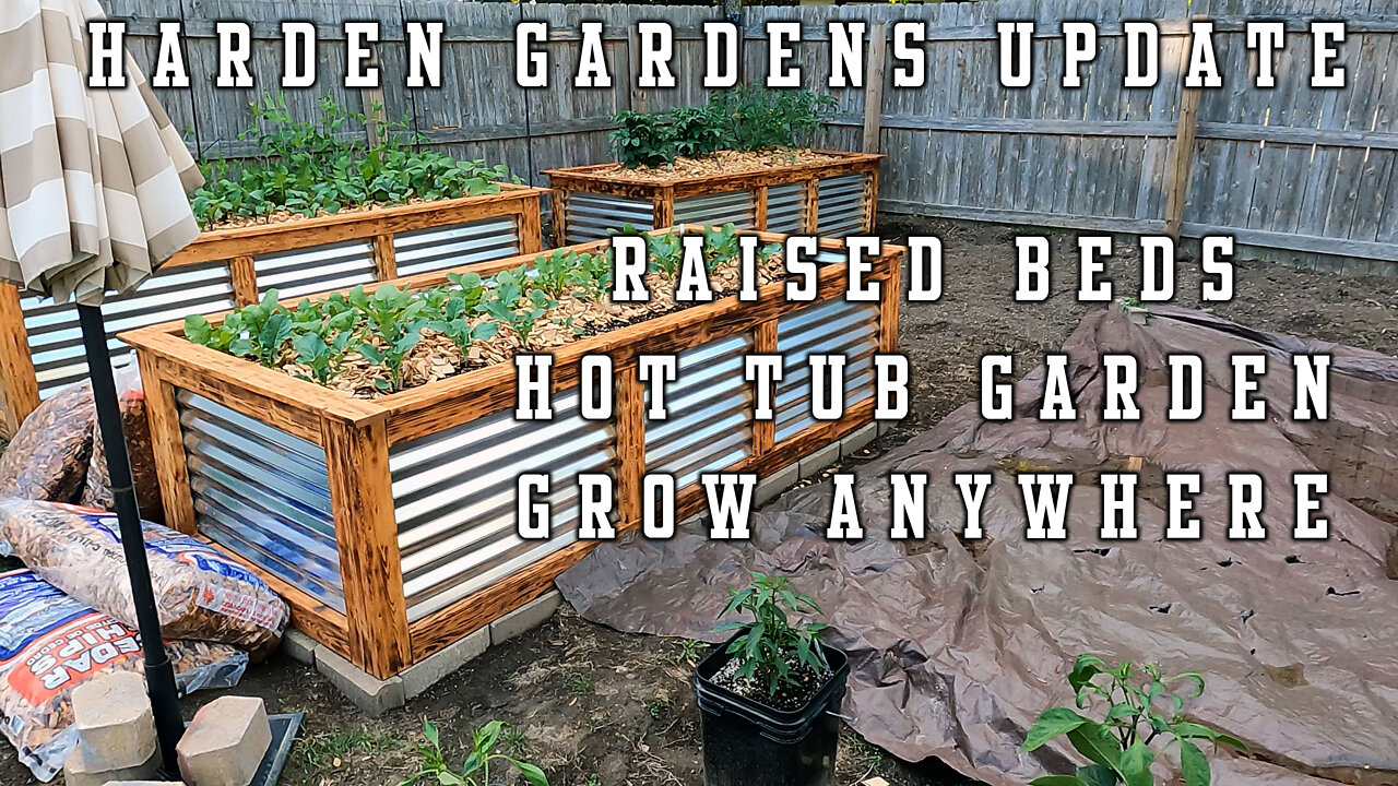 Harden Farms VLOG 6.10.22