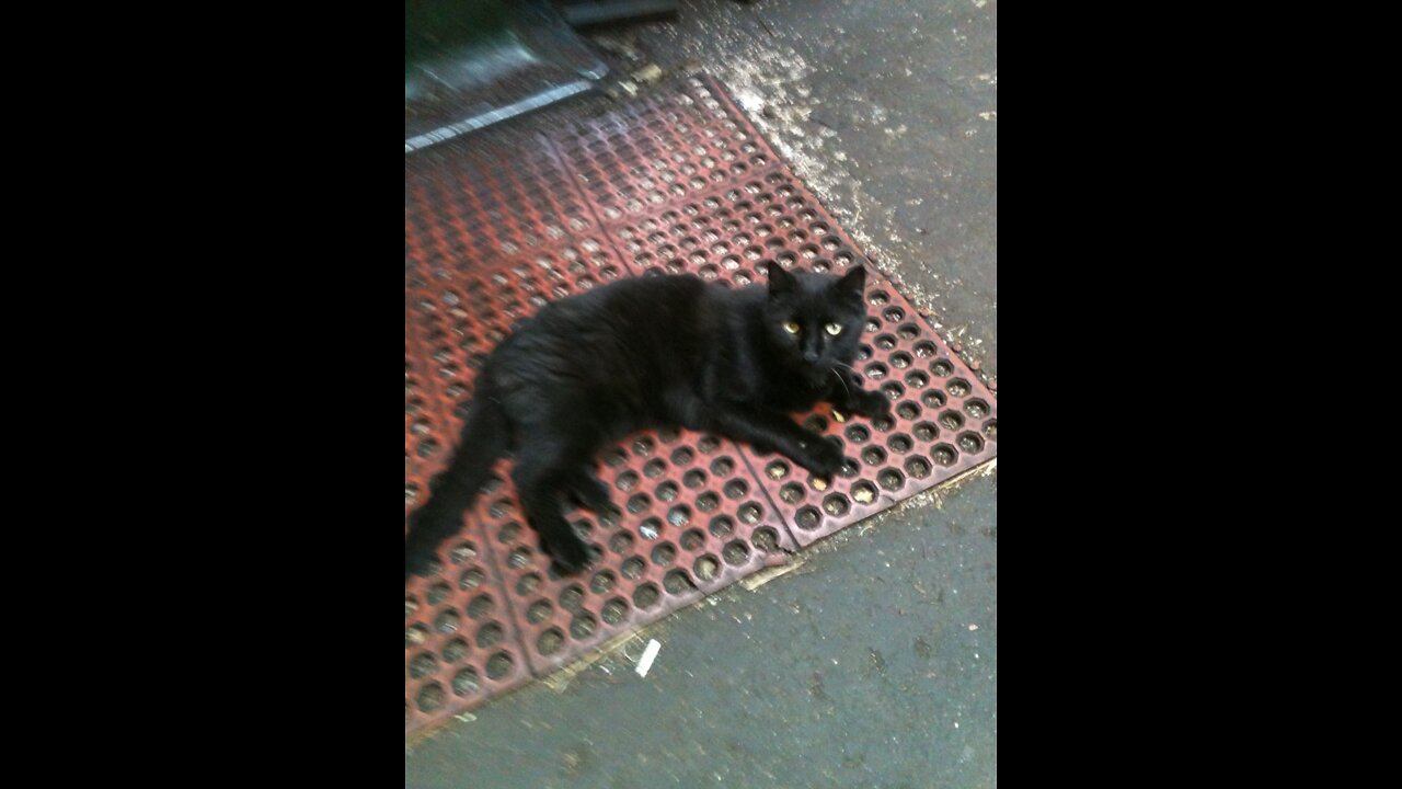 My buddy Stinky