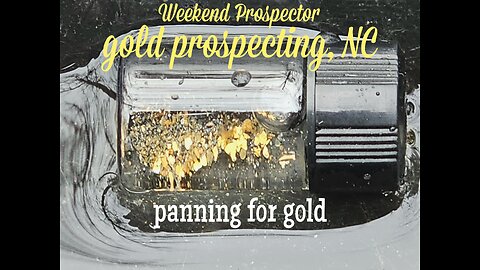 Gold prospecting Uwharrie National Forrest, NC