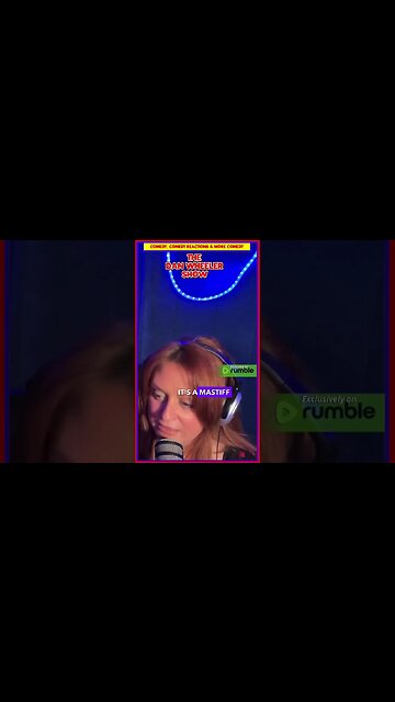 🐾❤️ Dan's Rottweiler Love: Why These Dogs Have Stolen His Heart